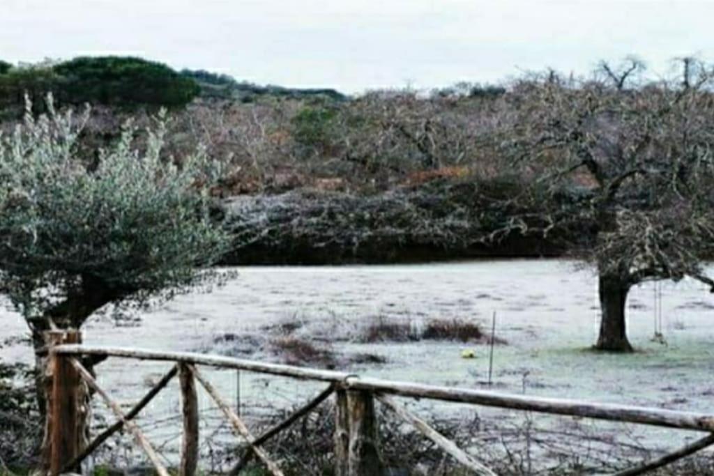 Villa Olivae Aracena Exterior foto